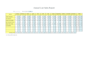 Annual Lost Sales Report By Month Reasons template